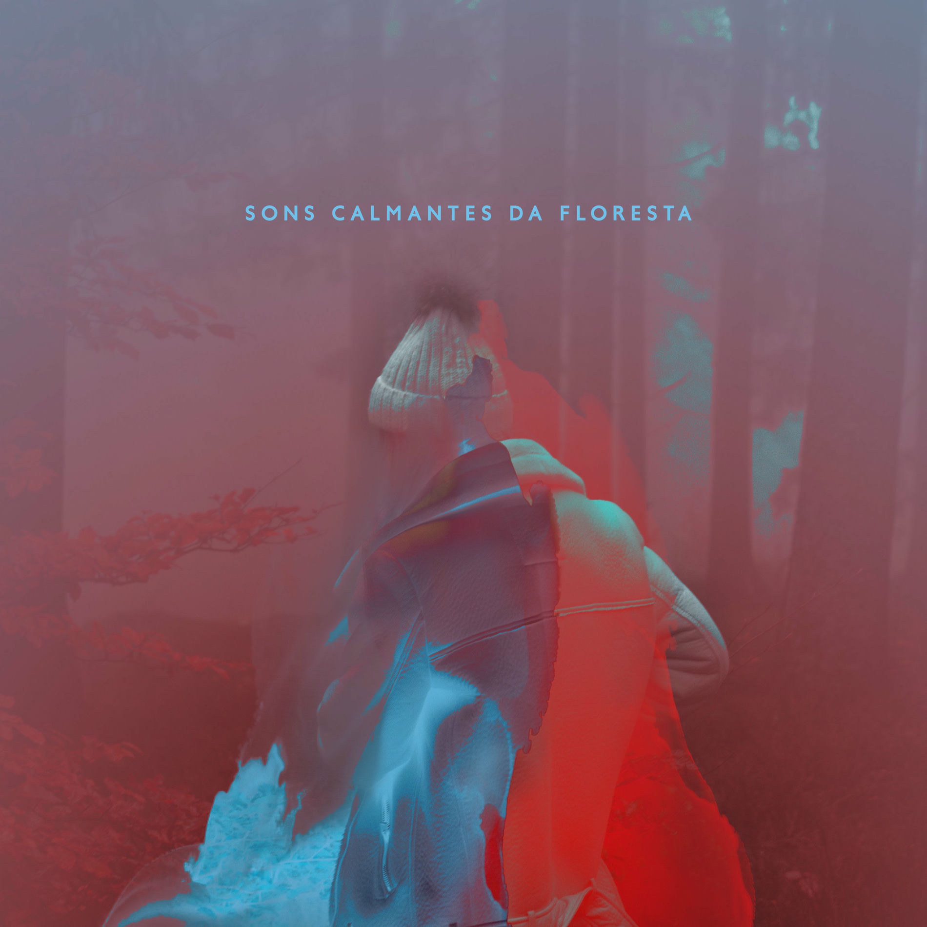 Album cover of Sons calmantes da floresta - Música de cura para todos, Terapia de animais de estimação, Música de meditação