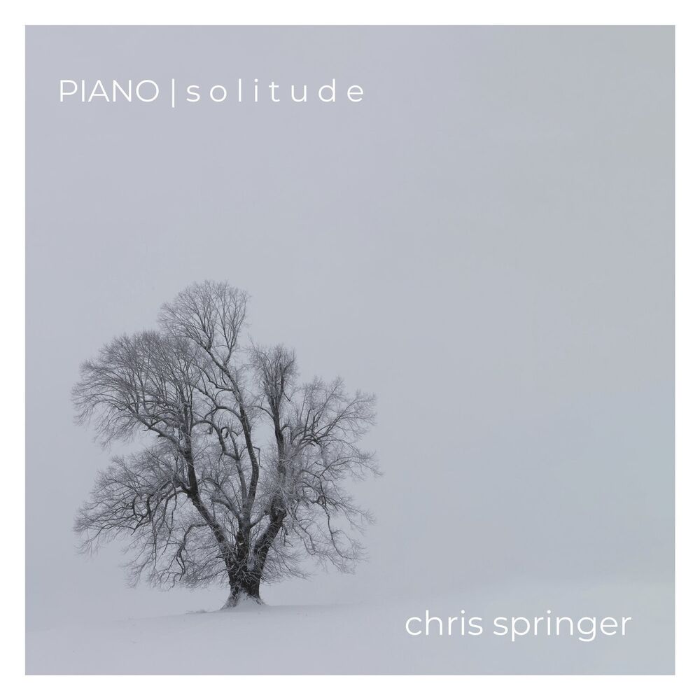 Picture of PIANO | solitude