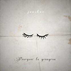 Cover of Pourquoi tu grongron