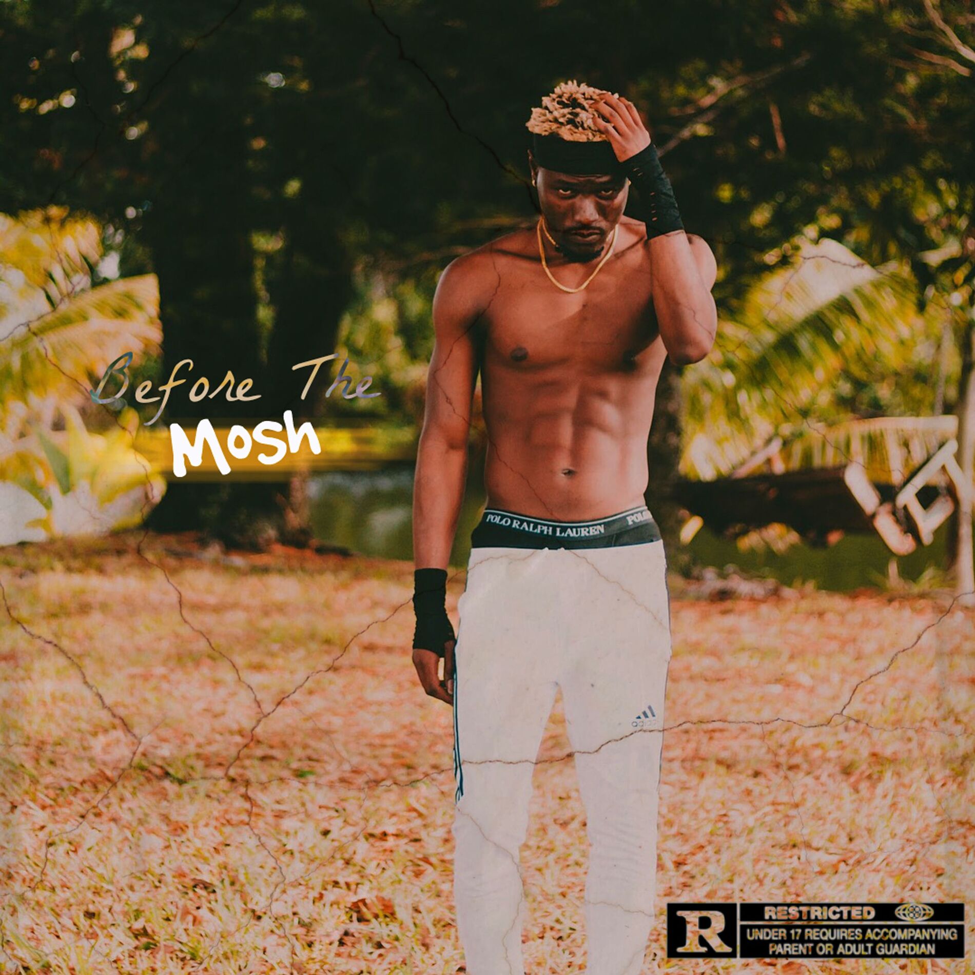 Album cover of Before the Mosh