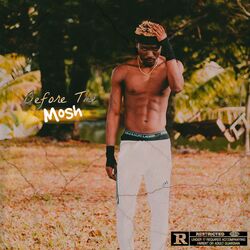 Cover of Before the Mosh