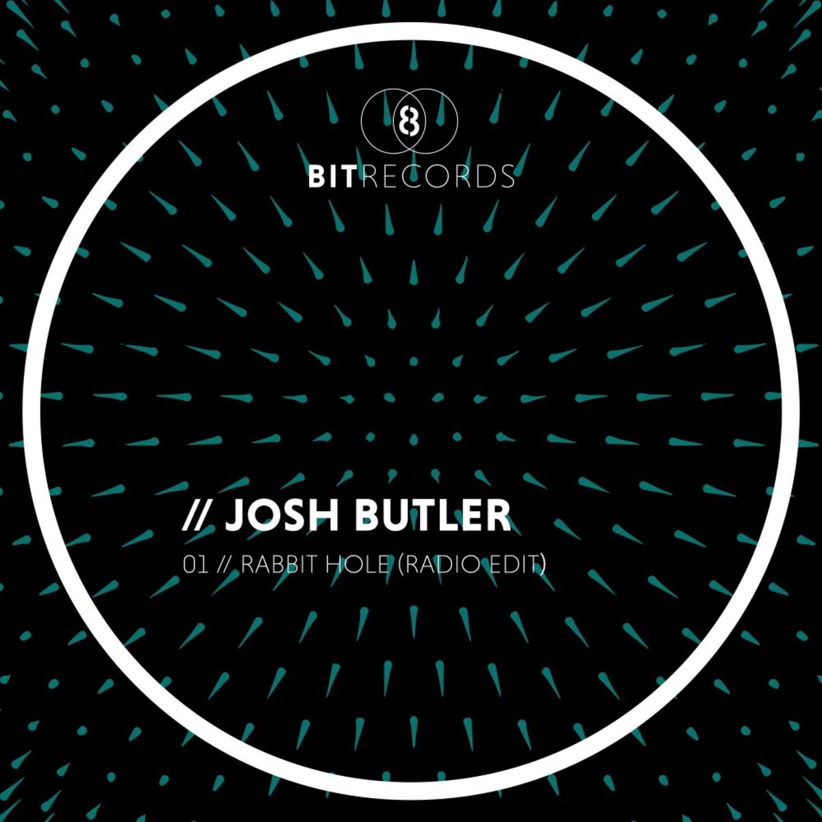 Album cover of Rabbit Hole