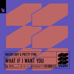 Cover of What If I Want You