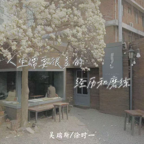 人生需要很多的经历和磨练