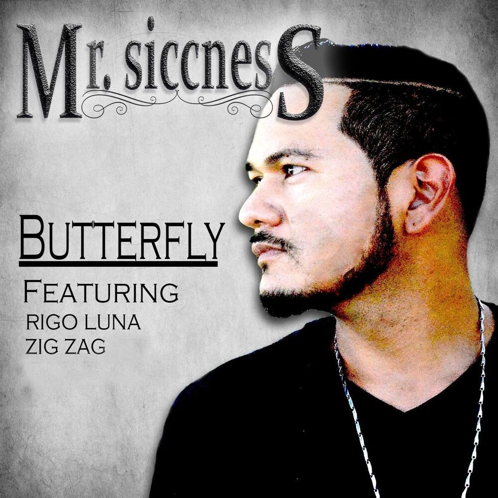 Picture of Butterfly