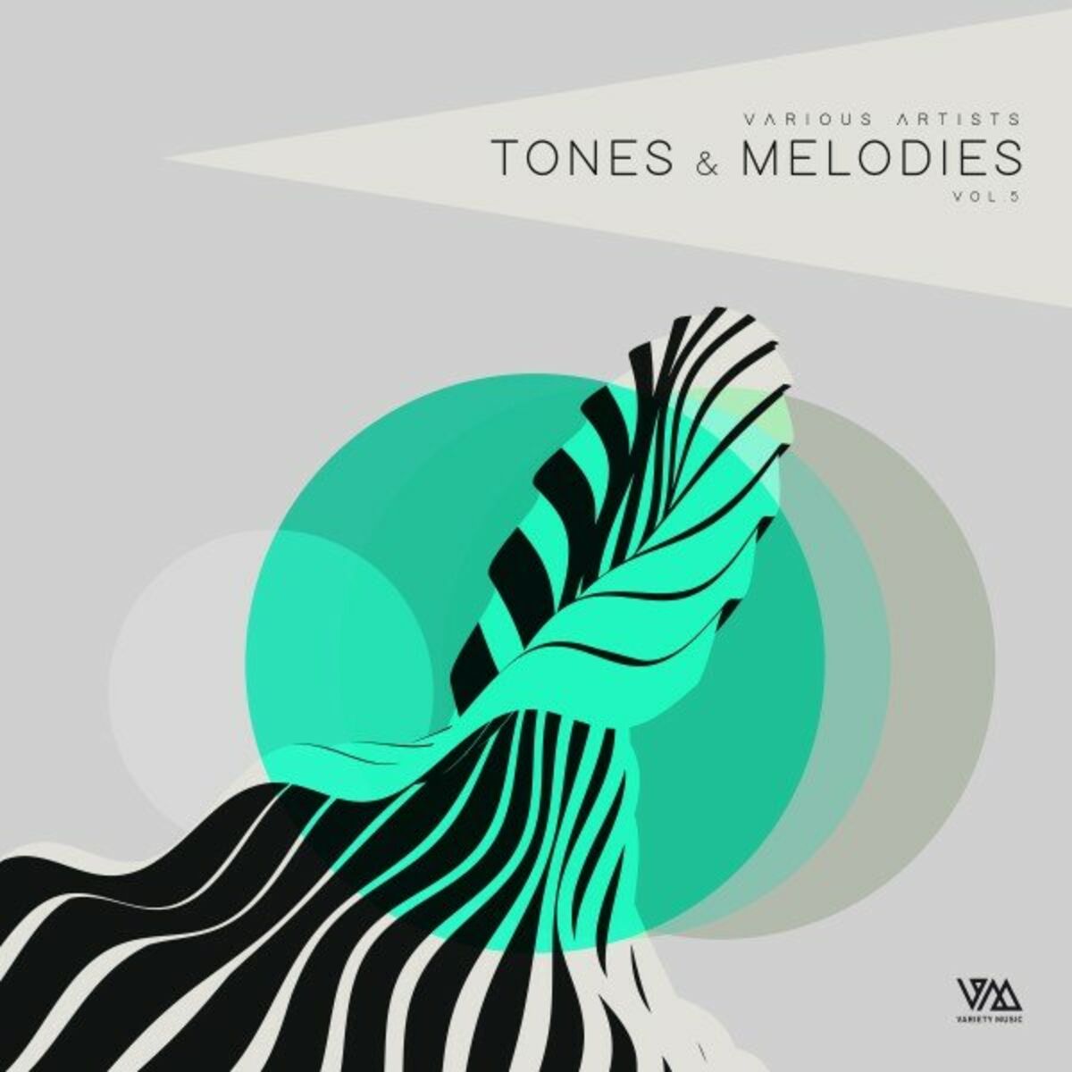 Album cover of Tones & Melodies, Vol. 5