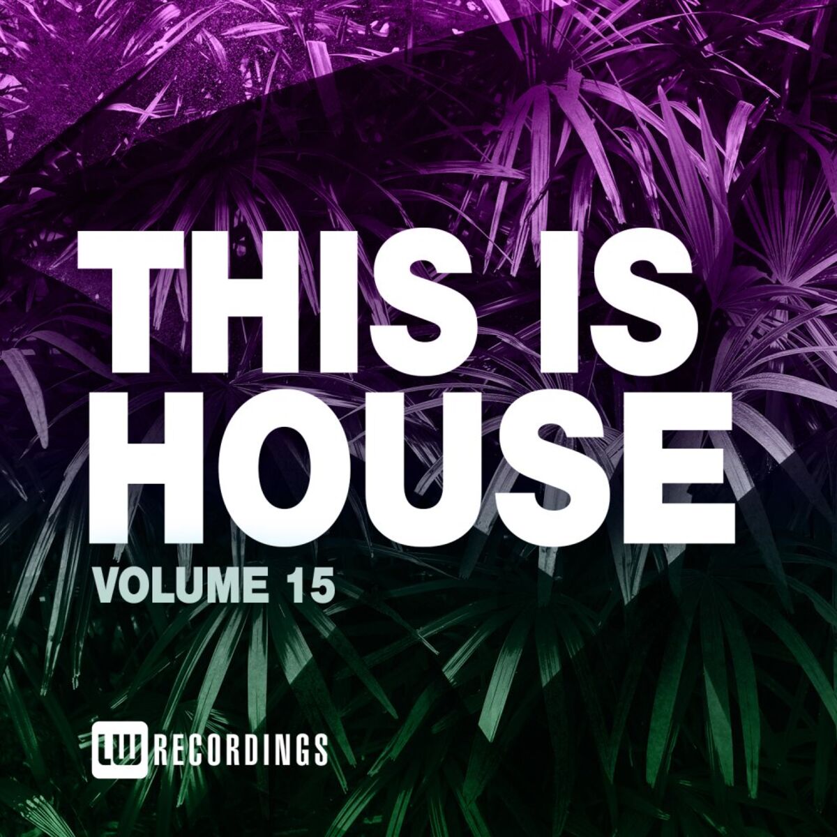 Album cover of This Is House, Vol. 15