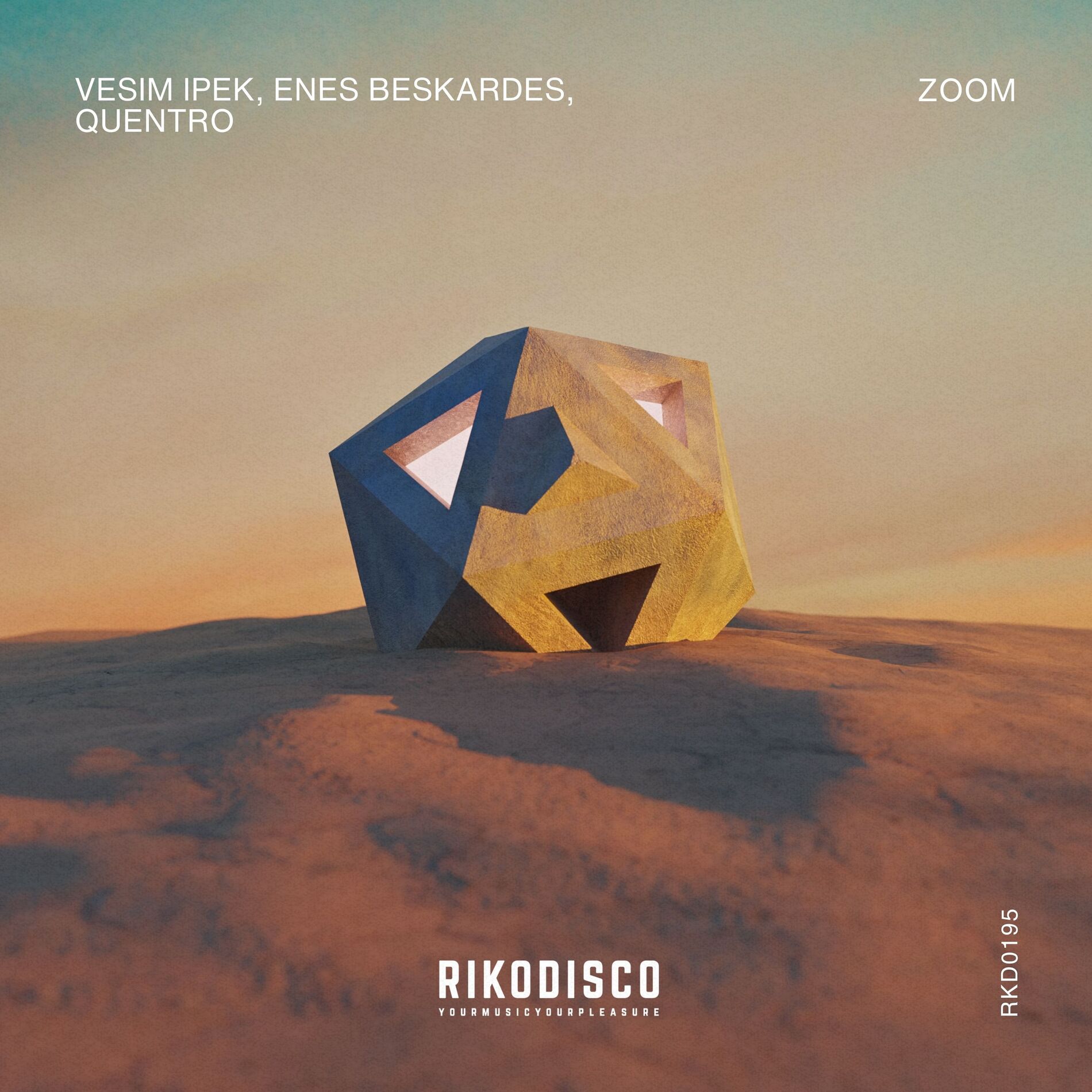 Album cover of Zoom