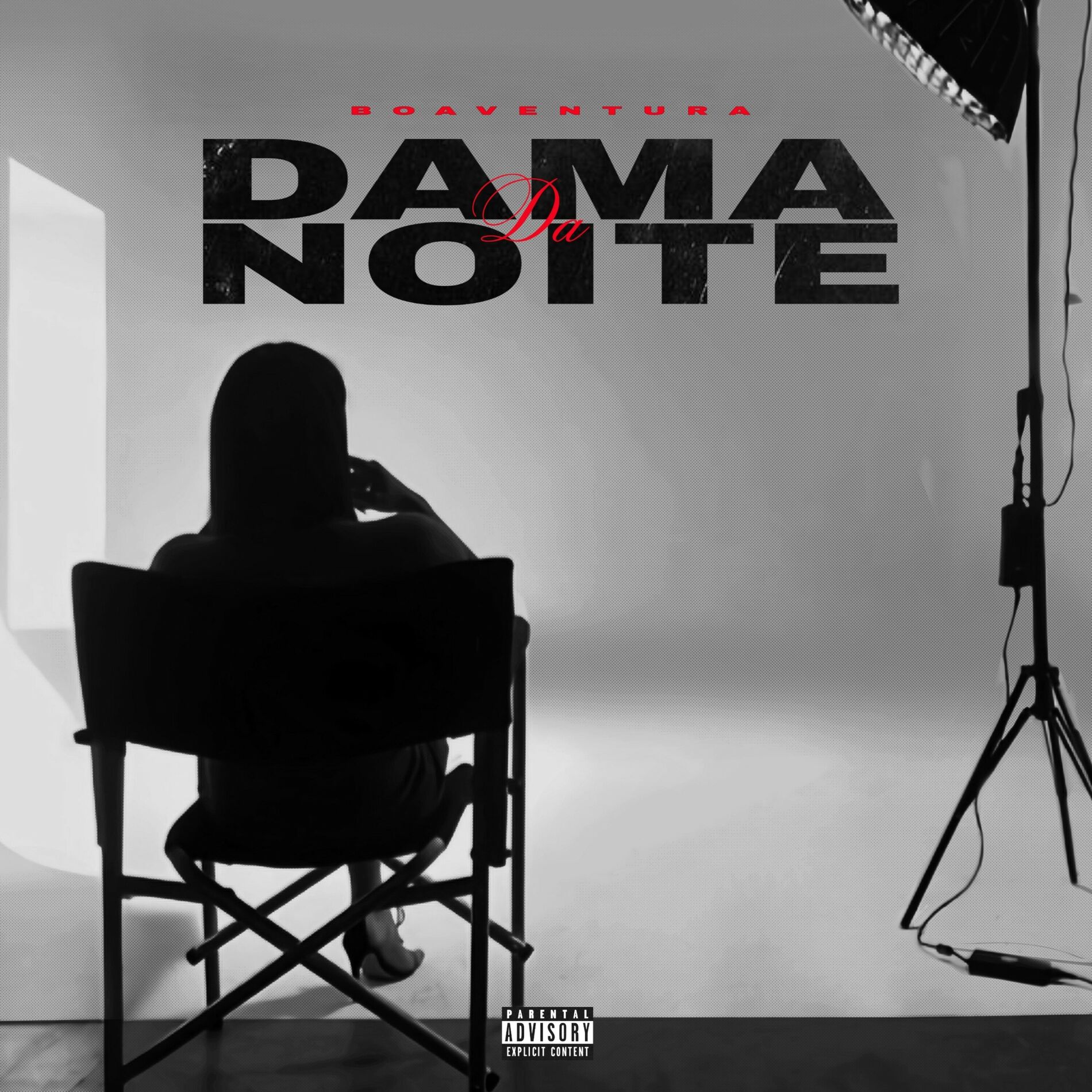 Album cover of Dama da Noite