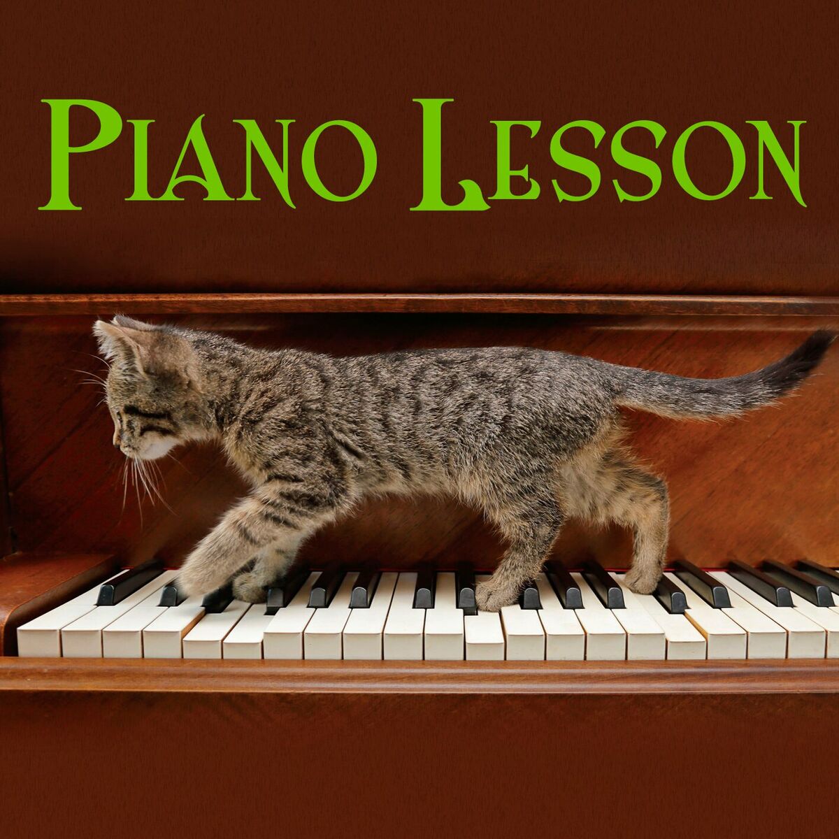 Album cover of Piano Lesson
