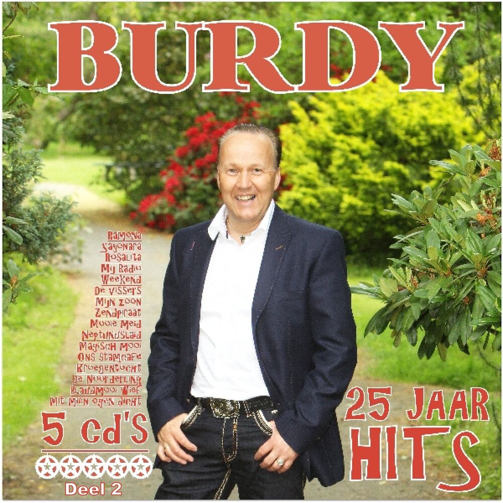 Picture of 25 jaar hits deel 2