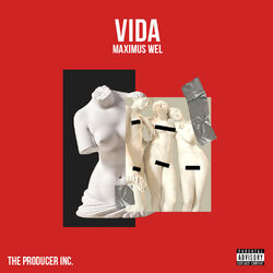 Cover of Vida
