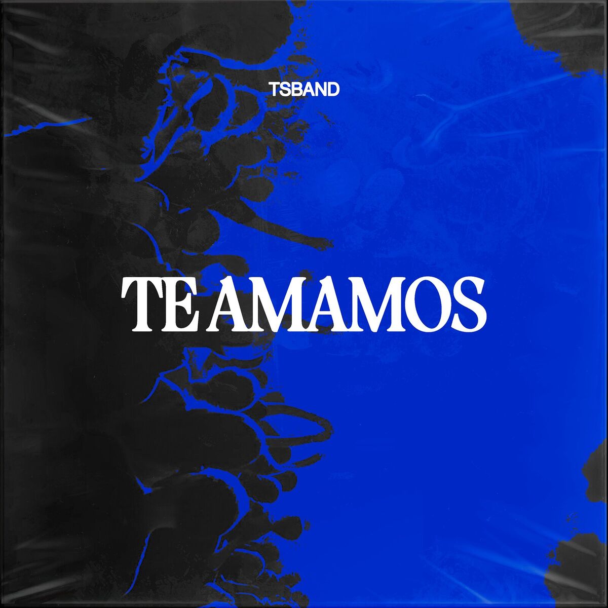 Album cover of Adotado Como Filho