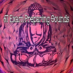 Cover of 67 Exam Preparing Sounds