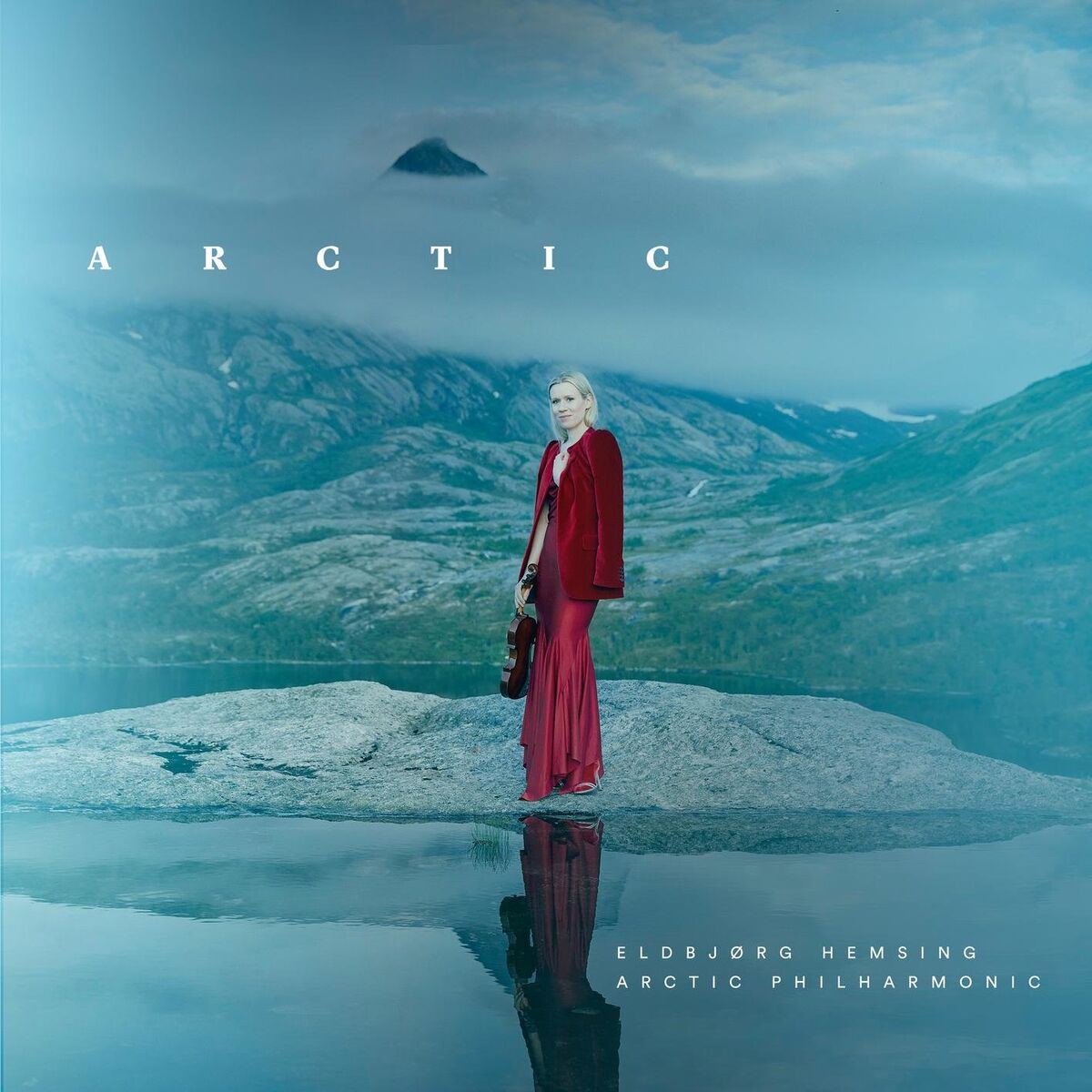 Album cover of Arctic