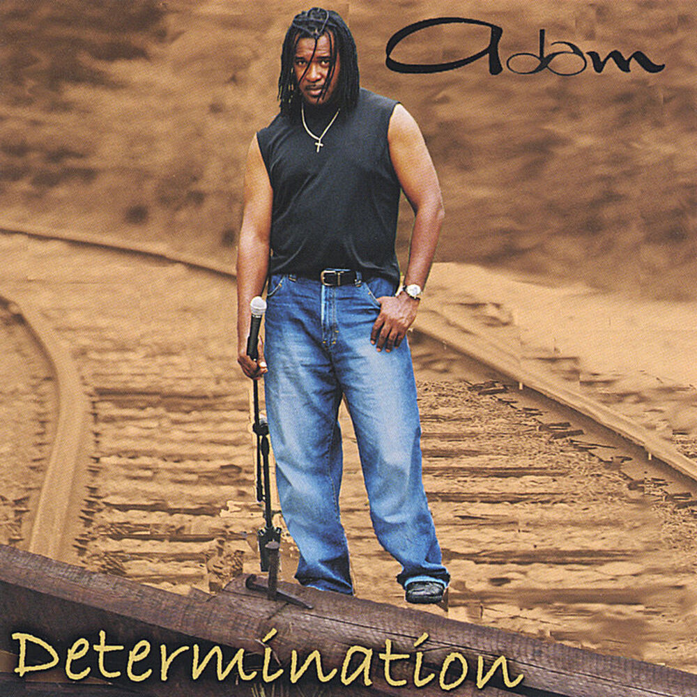 Picture of Determination