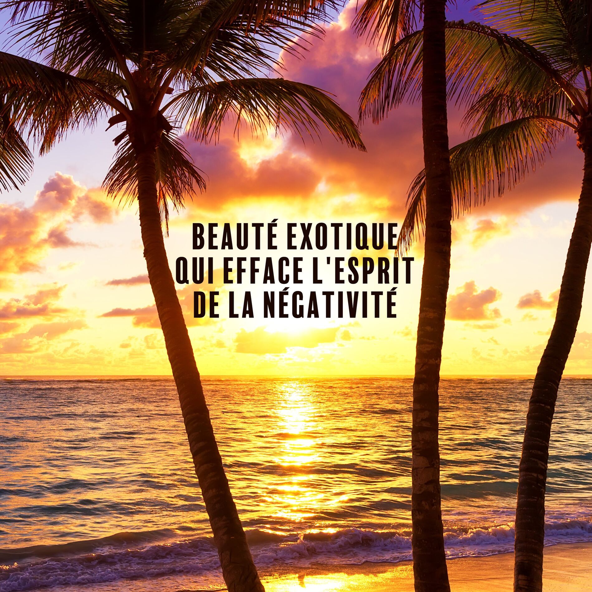Album cover of Beauté exotique qui efface l'esprit de la négativité