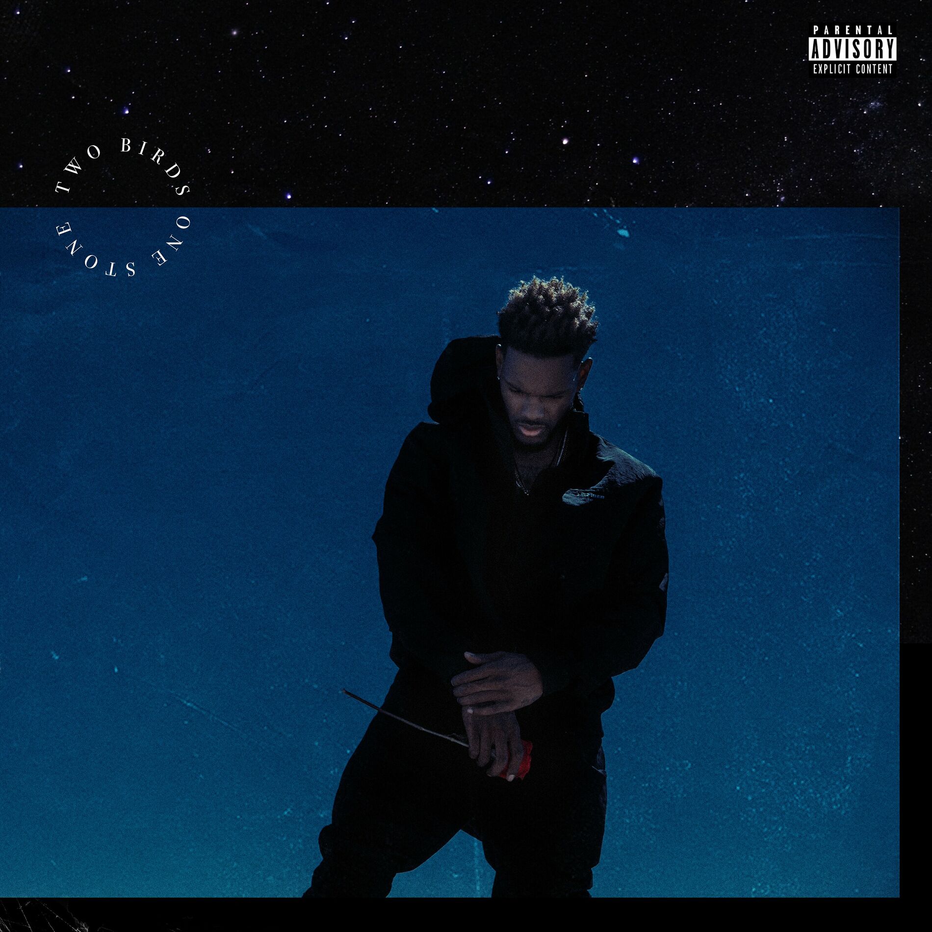 Album cover of Two Birds One Stone