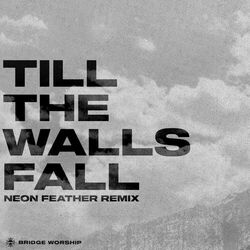 Cover of Till The Walls Fall