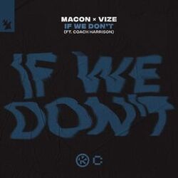 Cover of If We Don’t