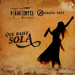 Cover of Que Baile Sola