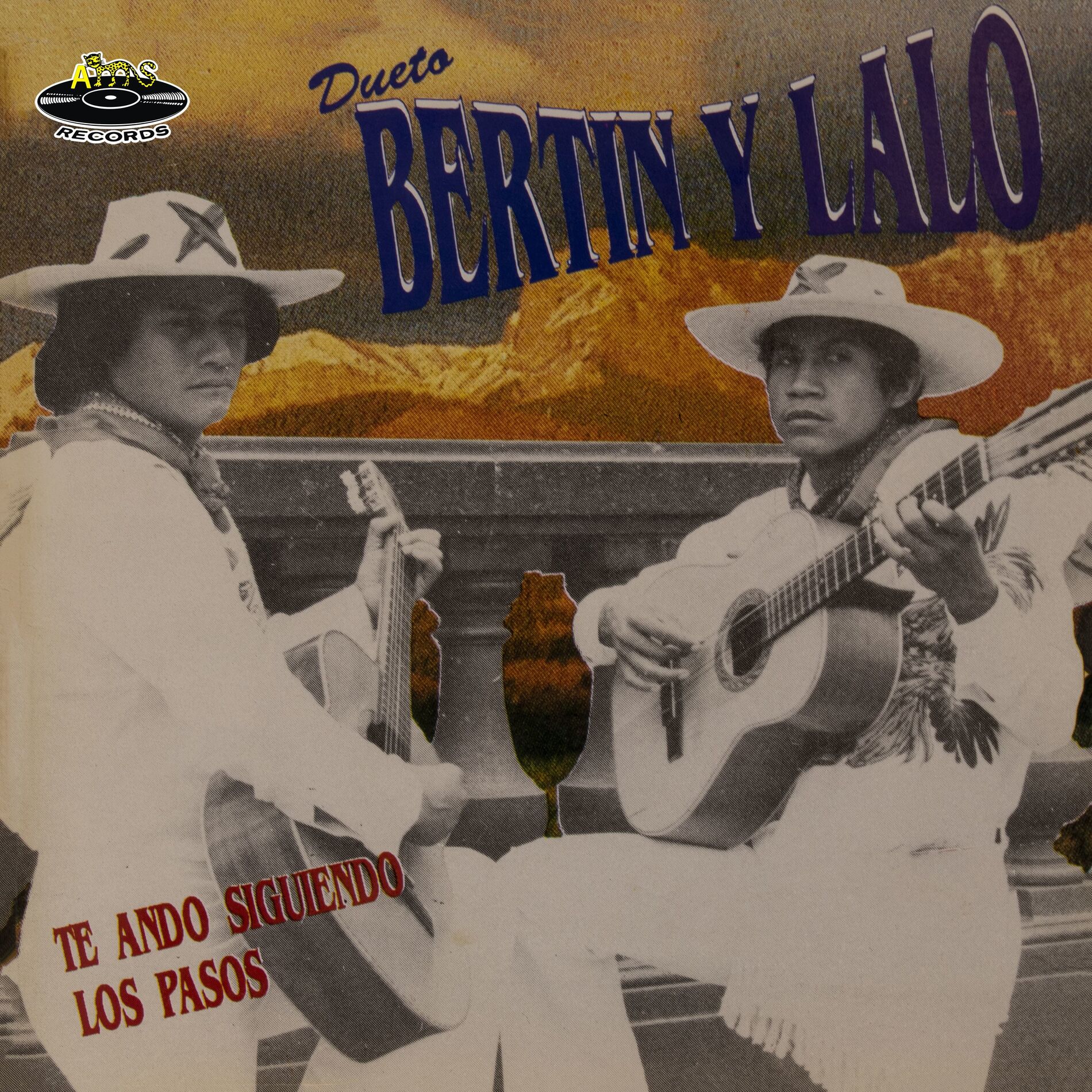 Album cover of Te Ando Siguiendo los Pasos