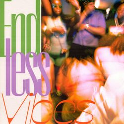 Cover of Endless Vibes