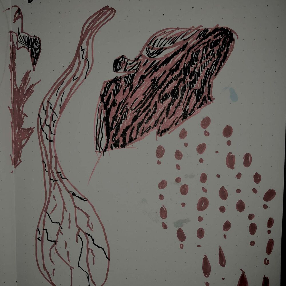Picture of Paranoia