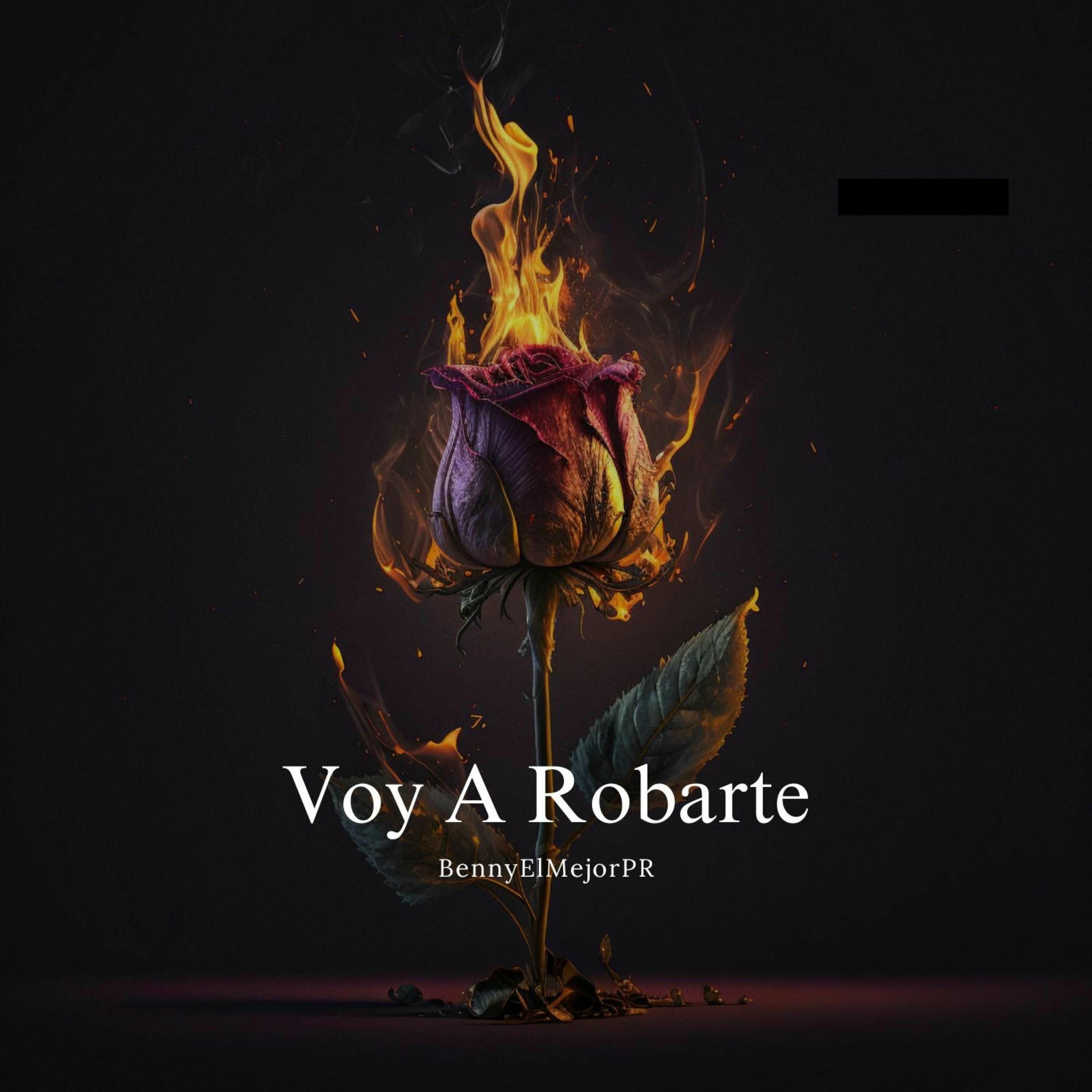 Album cover of VOY A ROBARTE (feat. LAZARO)
