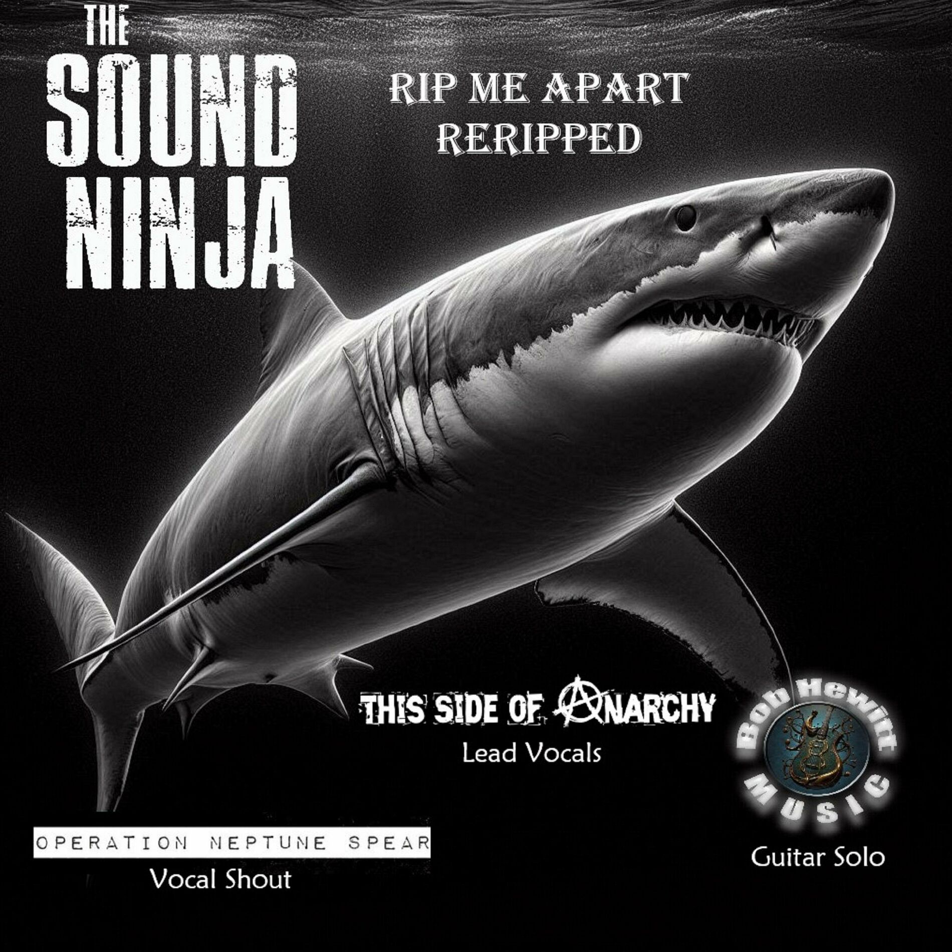 Album cover of Rip Me Apart (ReRipped) (feat. This Side of Anarchy, Operation Neptune Spear & Bob Hewitt)