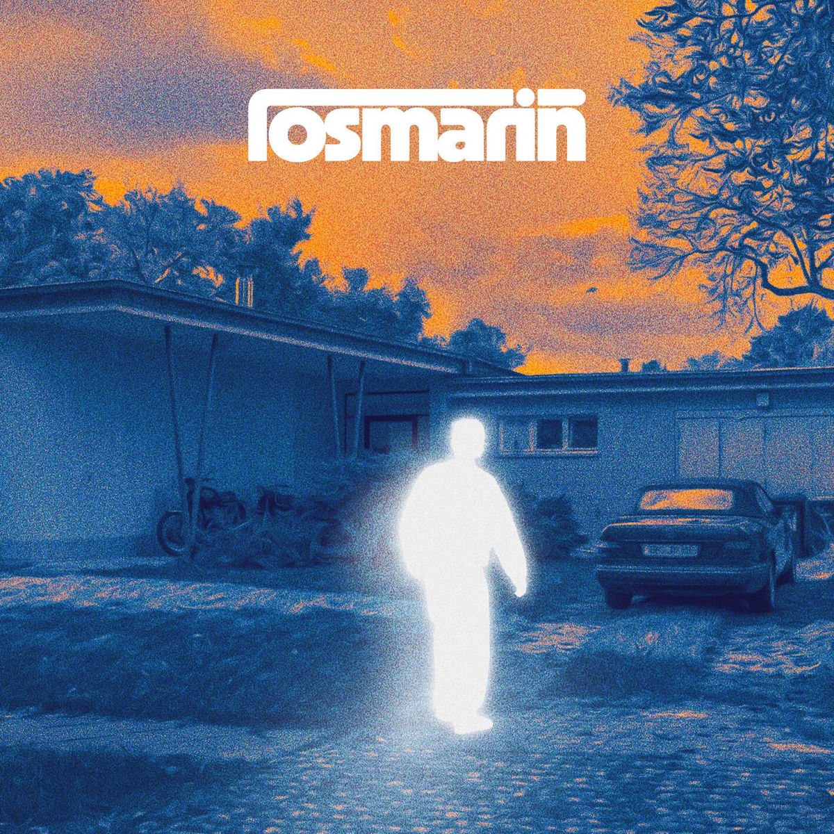 Album cover of was ich mein