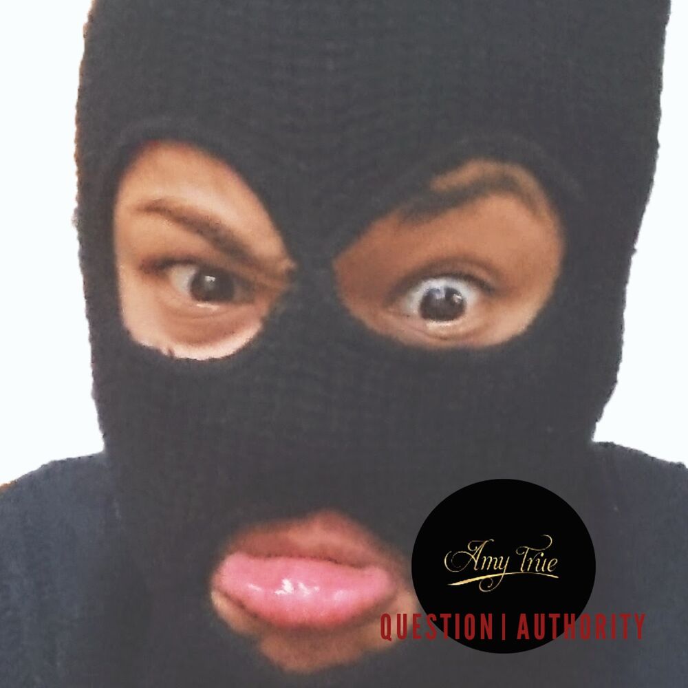 Picture of Question Authority