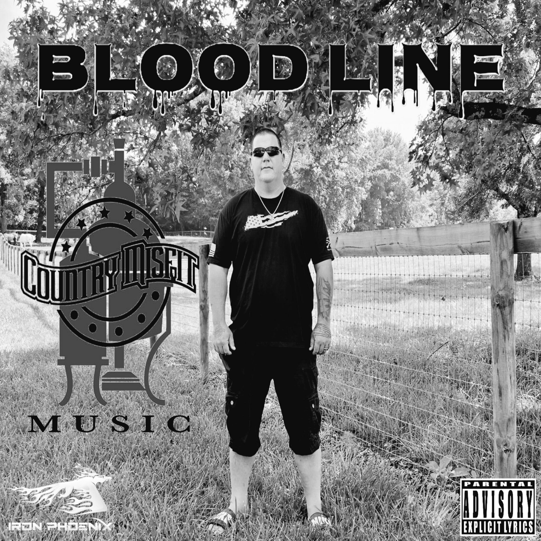 Album cover of BLOODLINE