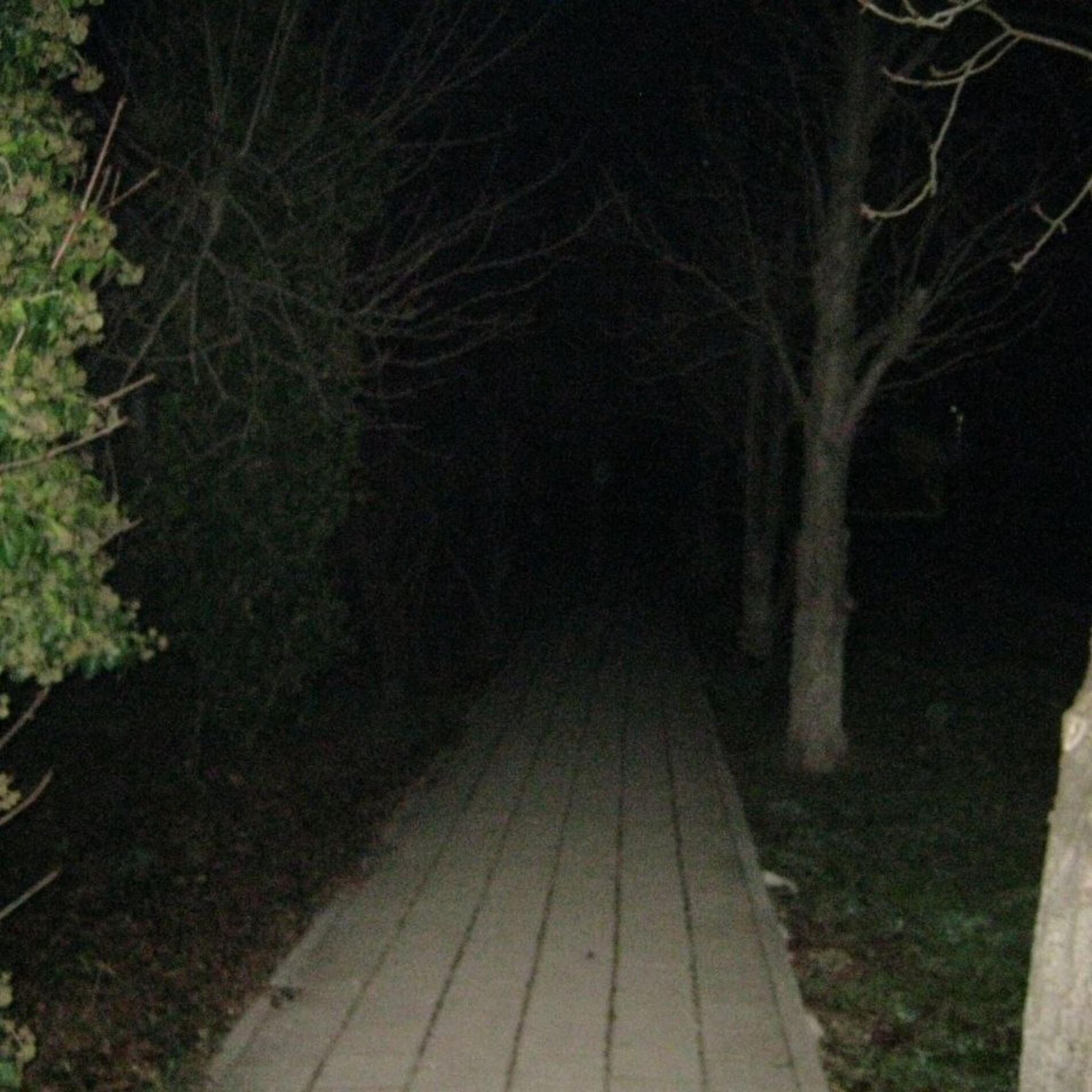 Album cover of end of small sanctuary