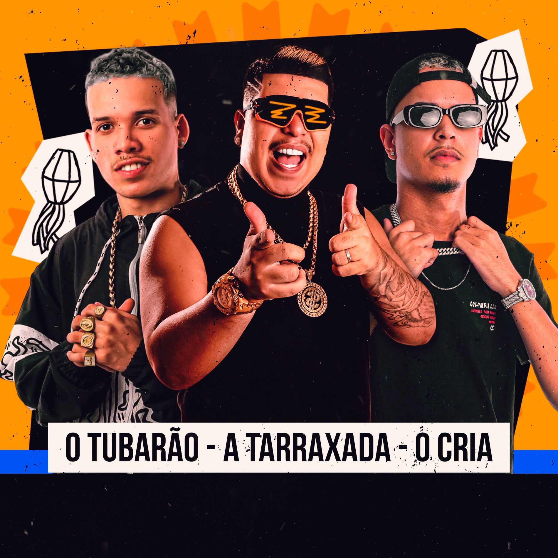 Album cover of Vai Cavala