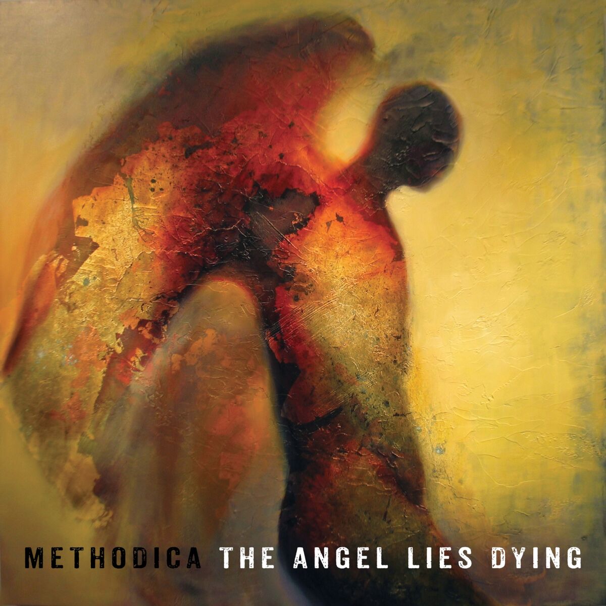 Album cover of The Angel Lies Dying