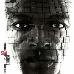Cover of Amazing (The Remixes)