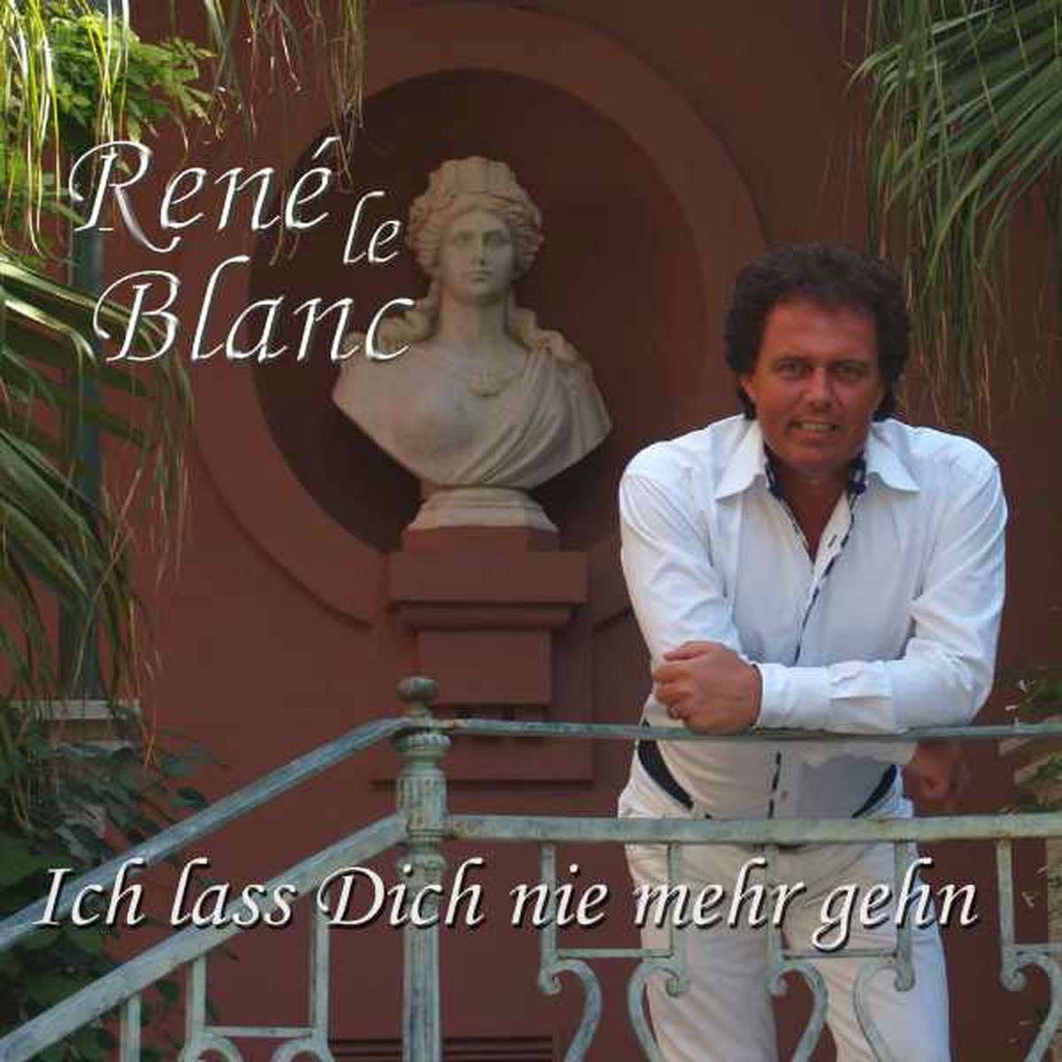 Album cover of Ich lass Dich nie mehr gehn