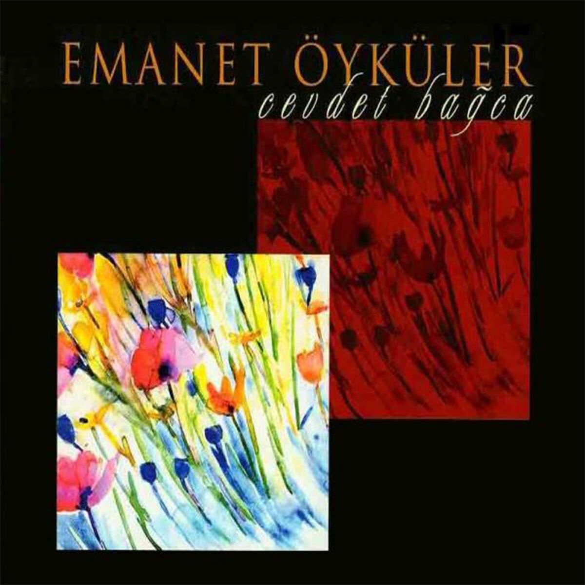 Album cover of Emanet Öyküler