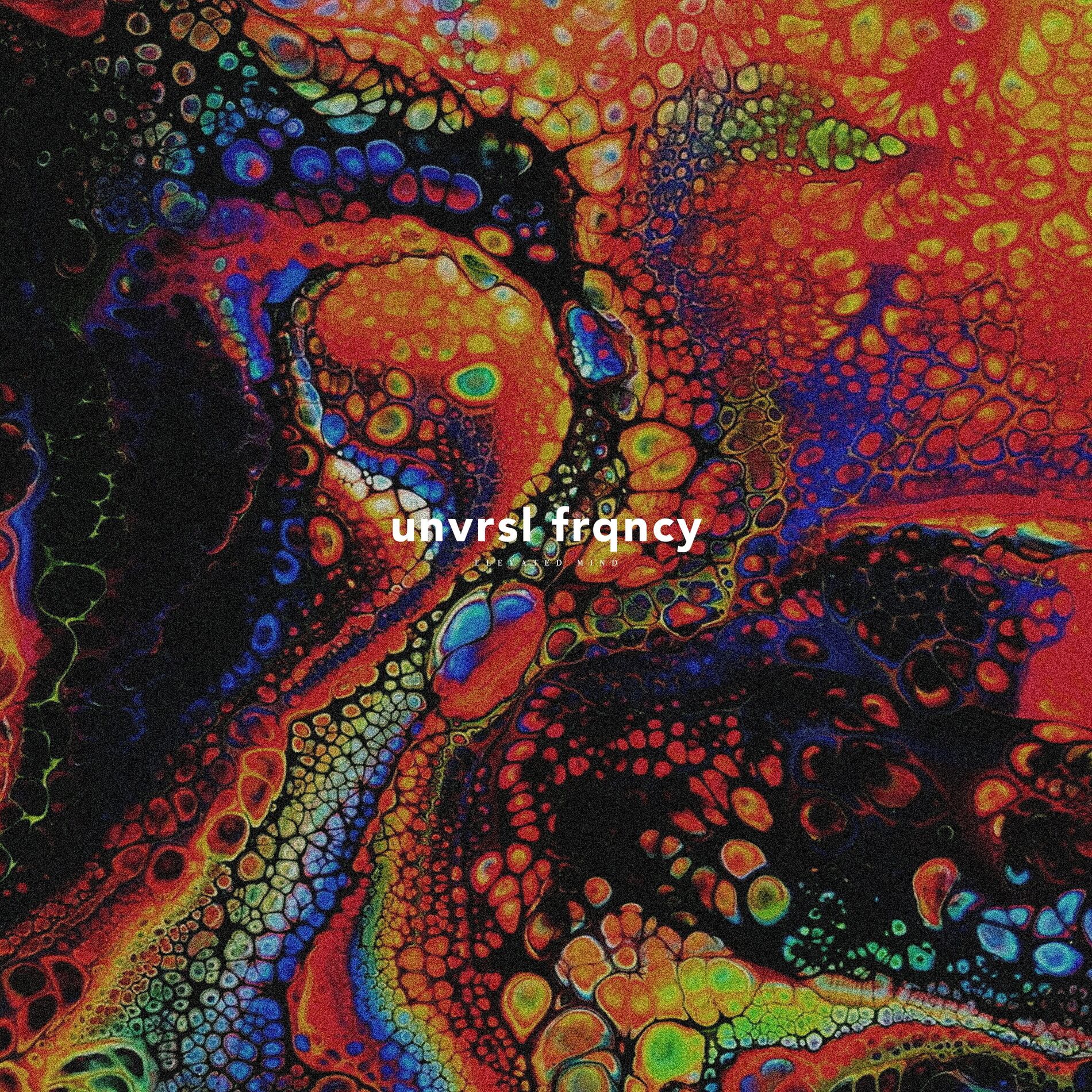 Album cover of Elevated Mind
