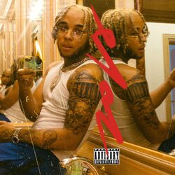 Cover of Survie
