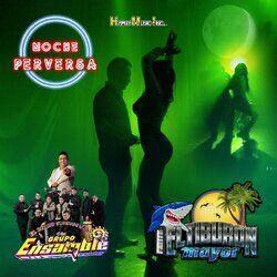 Cover of Noche Perversa