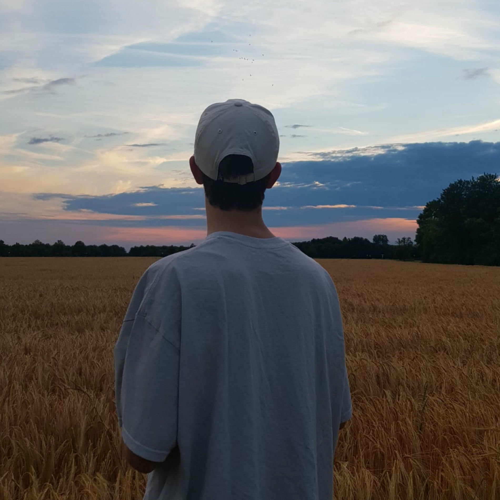 Album cover of Longlived4