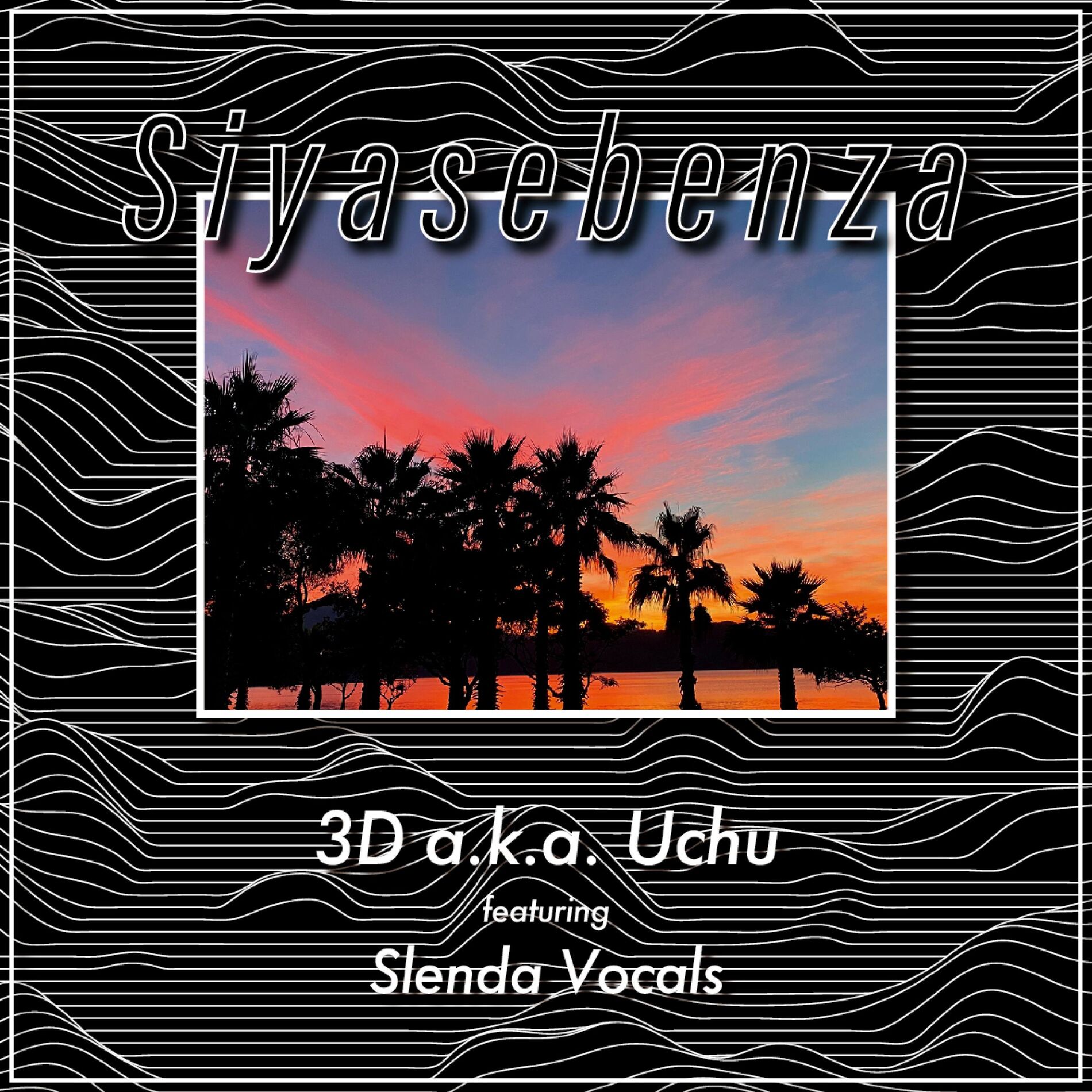 Album cover of Siyasebenza (feat. Slenda Vocals)