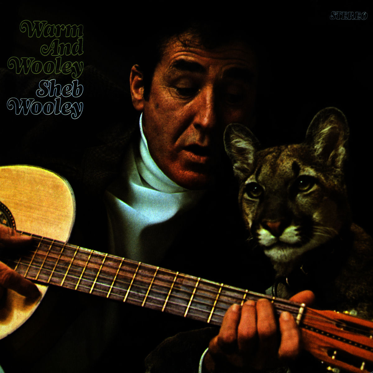 Album cover of Warm and Wooley