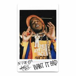 Cover of Want It Bad