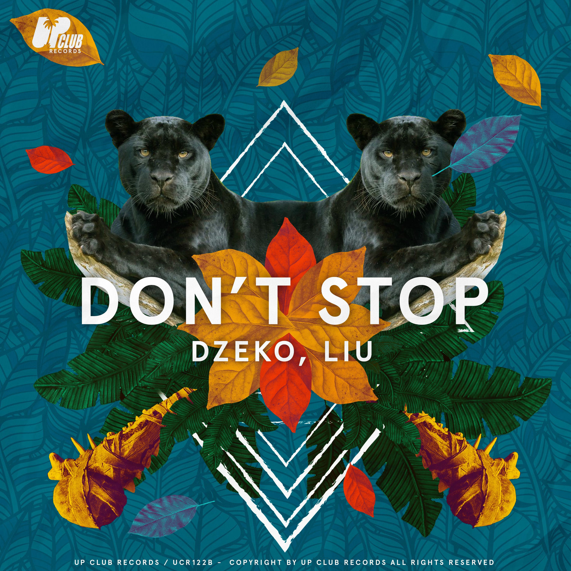 Album cover of Don't Stop