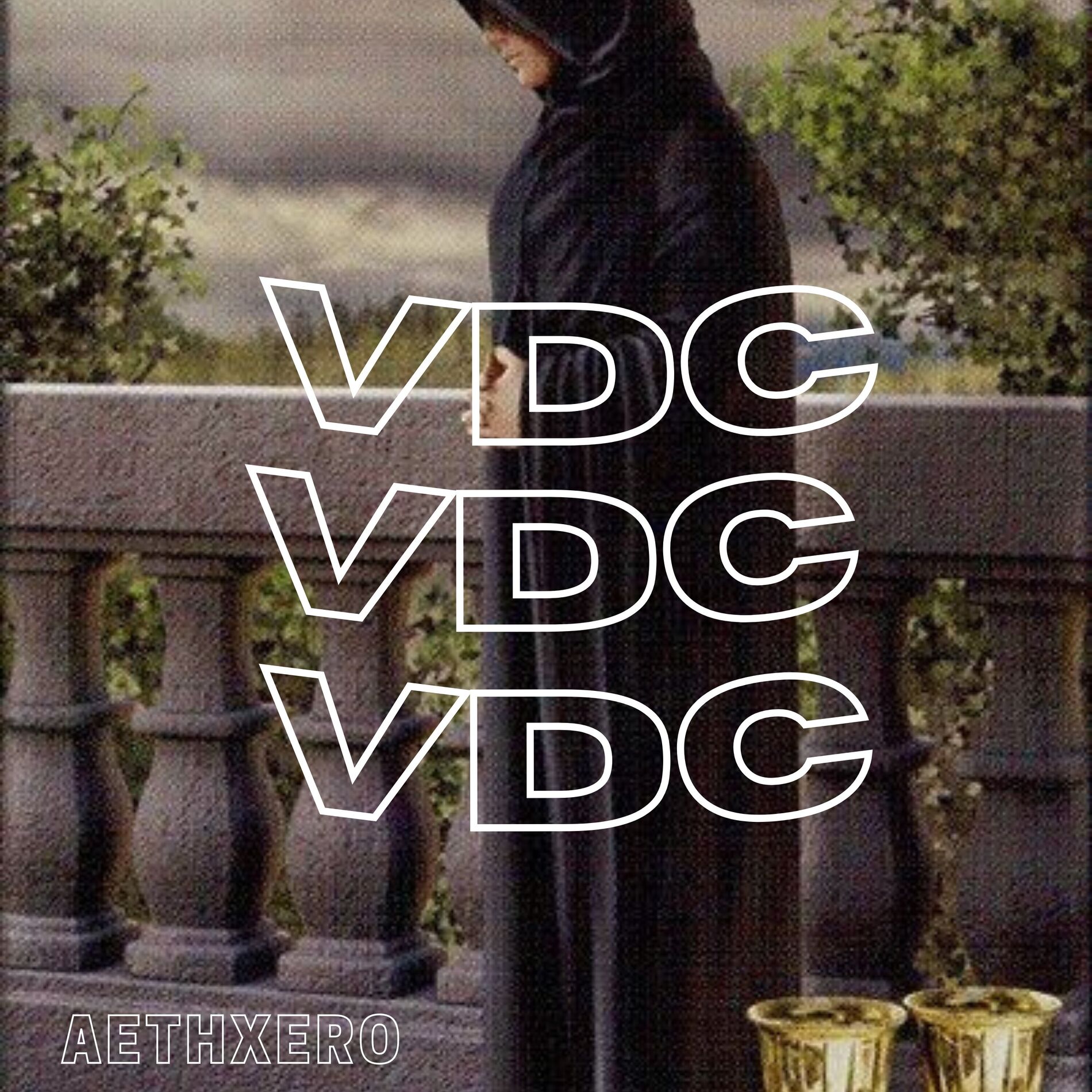 Album cover of VDC