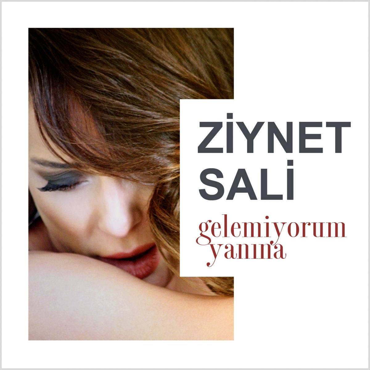Album cover of Gelemiyorum Yanina