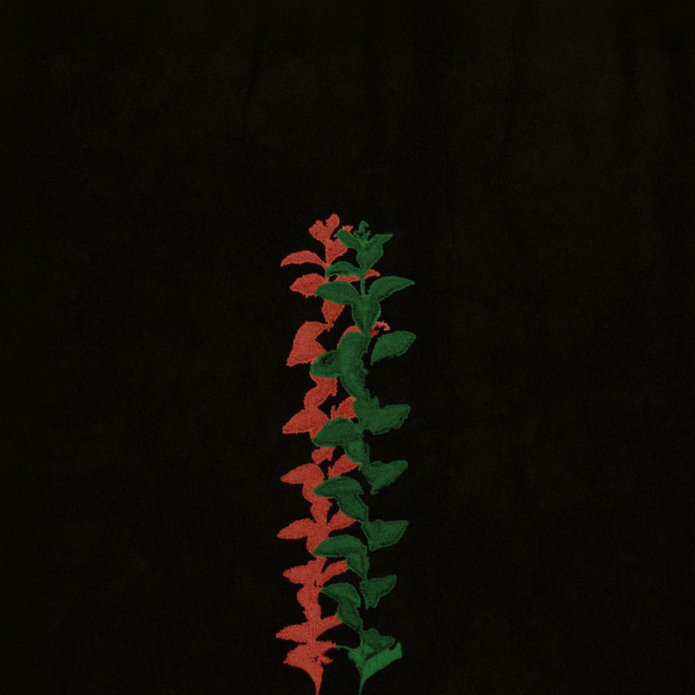 Cover du titre No Others